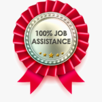 100% Job Assistance
