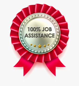 100% Job Assistance