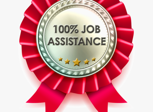 216-2166044_job-assistance-over-20-years-experience-logo-hd