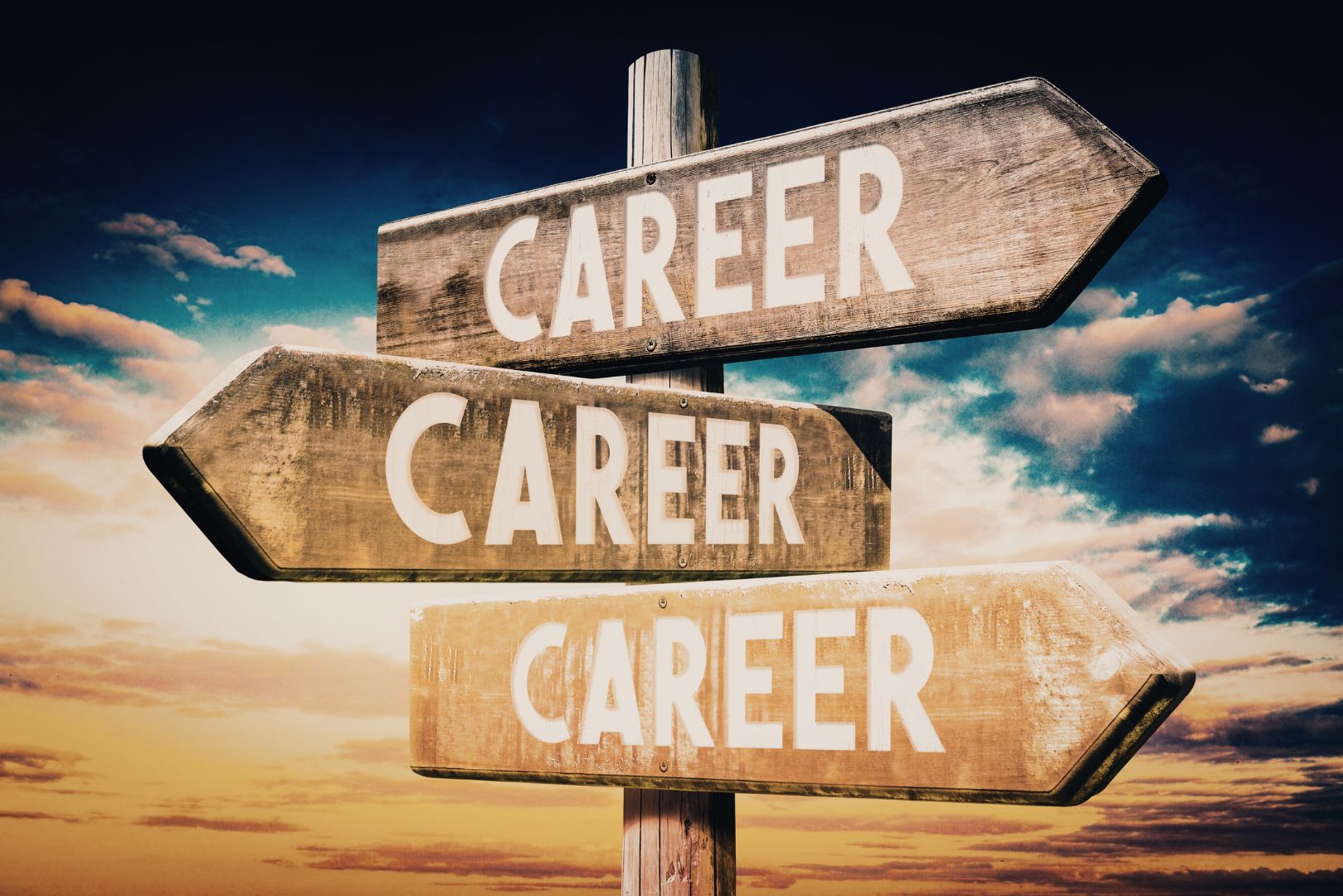 Beginner programming online courses with step-by-step guidance